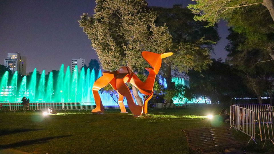 Circuito Mágio del Agua: Visita Nocturna al Parque de la Reserva foto 10