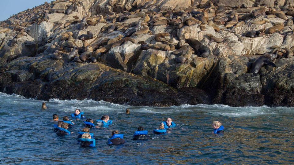 Passeio de Barco do porto do Callao até Islas Palomino foto 2