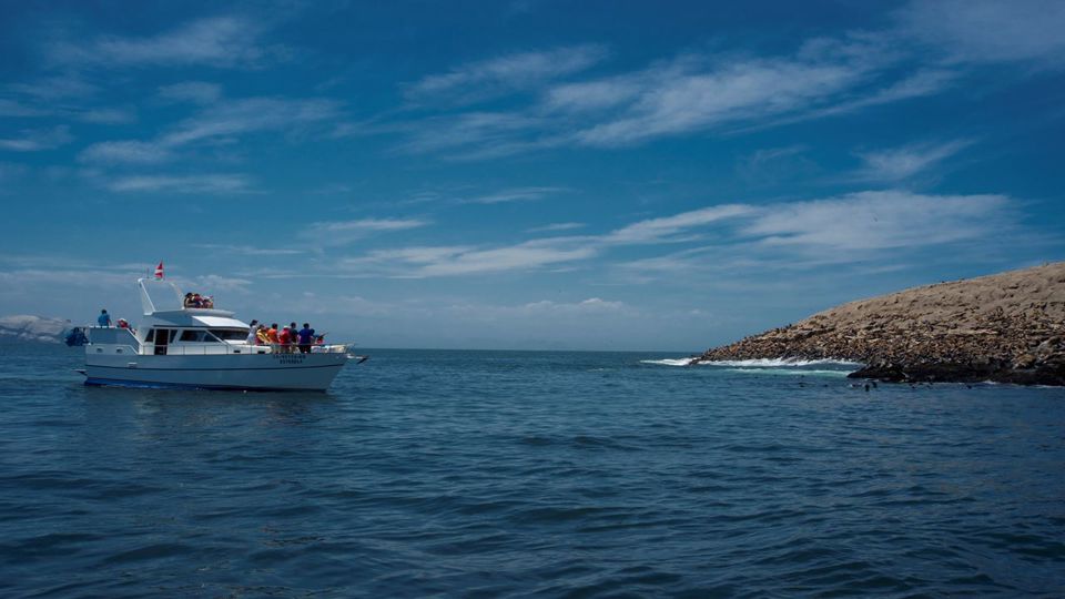 Passeio de Barco do porto do Callao até Islas Palomino foto 3