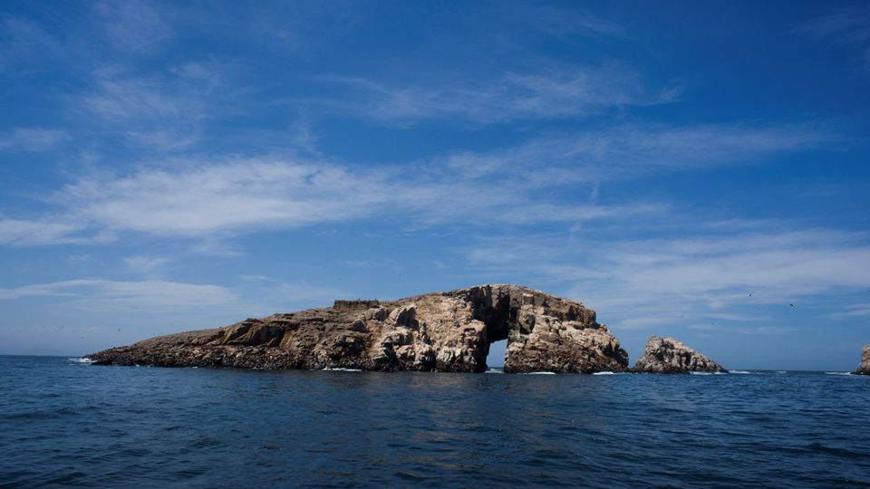Passeio de Barco do porto do Callao até Islas Palomino foto 7