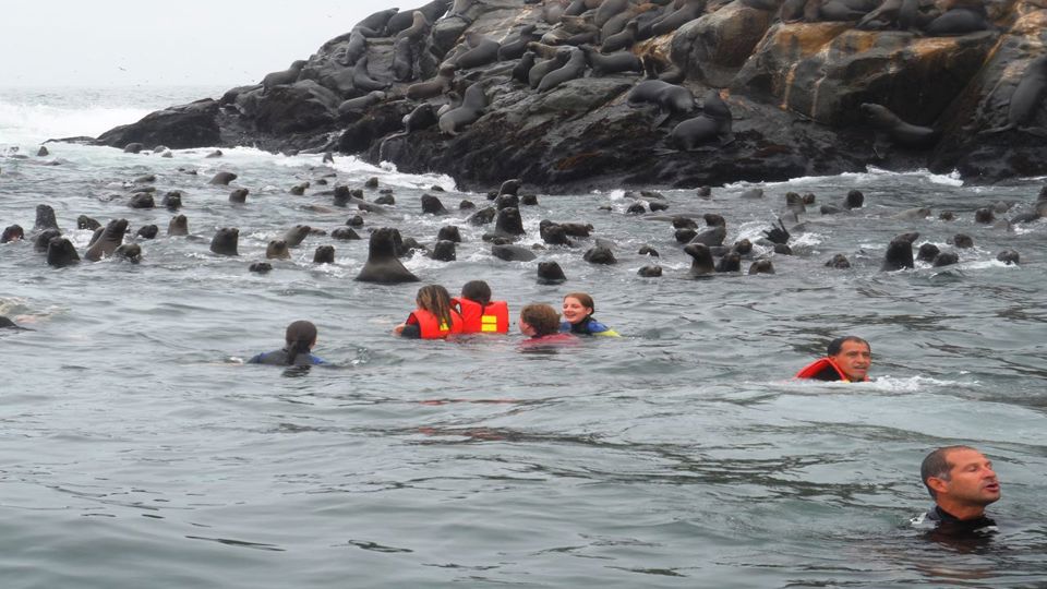 Passeio de Barco do porto do Callao até Islas Palomino foto 8