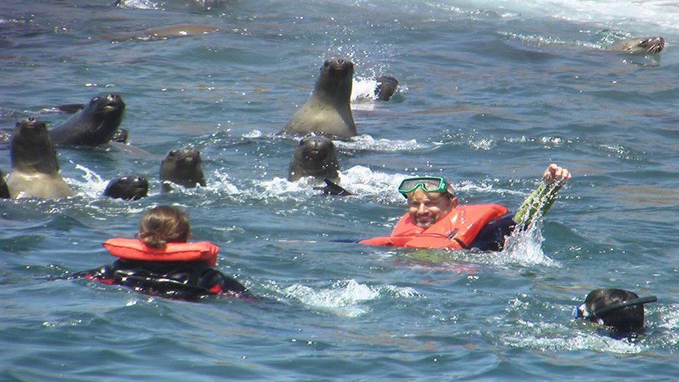 Passeio de Barco do porto do Callao até Islas Palomino foto 1