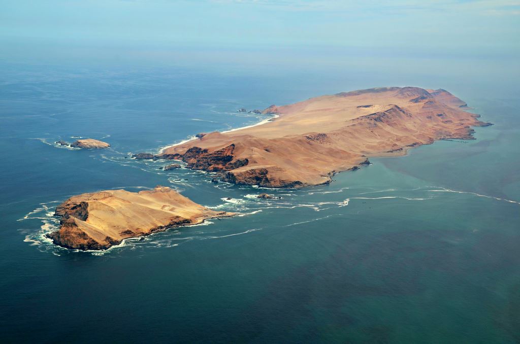Islas Palomino (10)