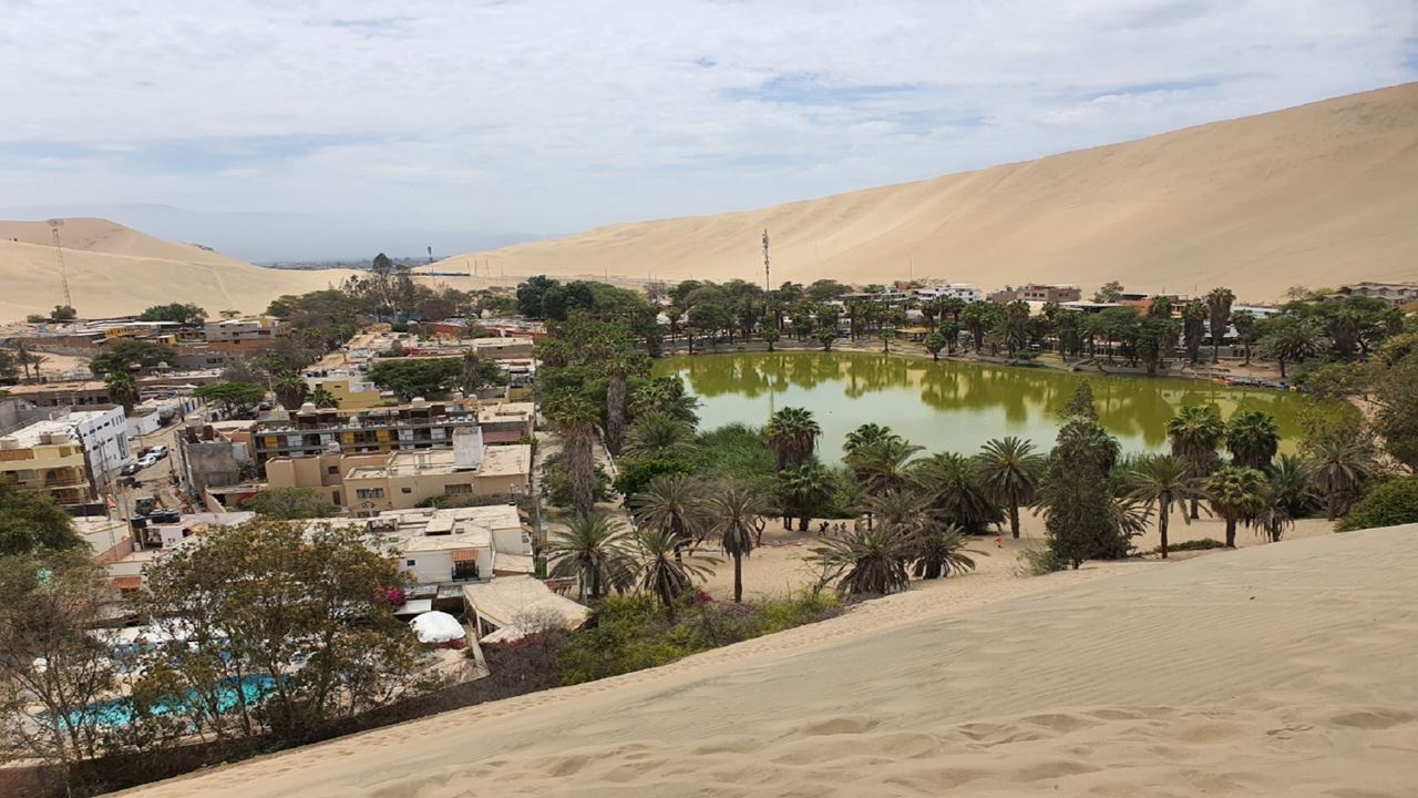 Paracas Y Oasis De Huacachina (12)