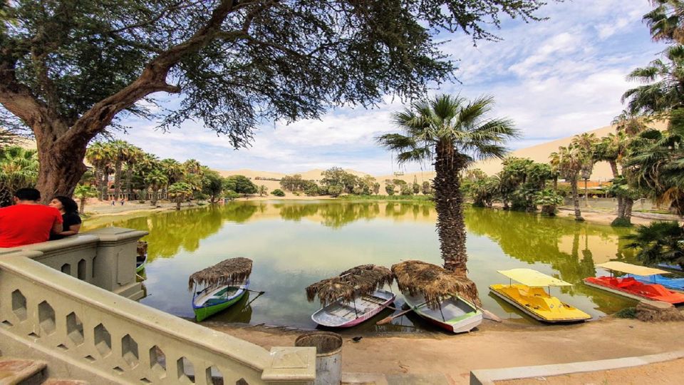 Ilhas Ballestas em Paracas e Oasis de Huacachina de Buggy foto 7