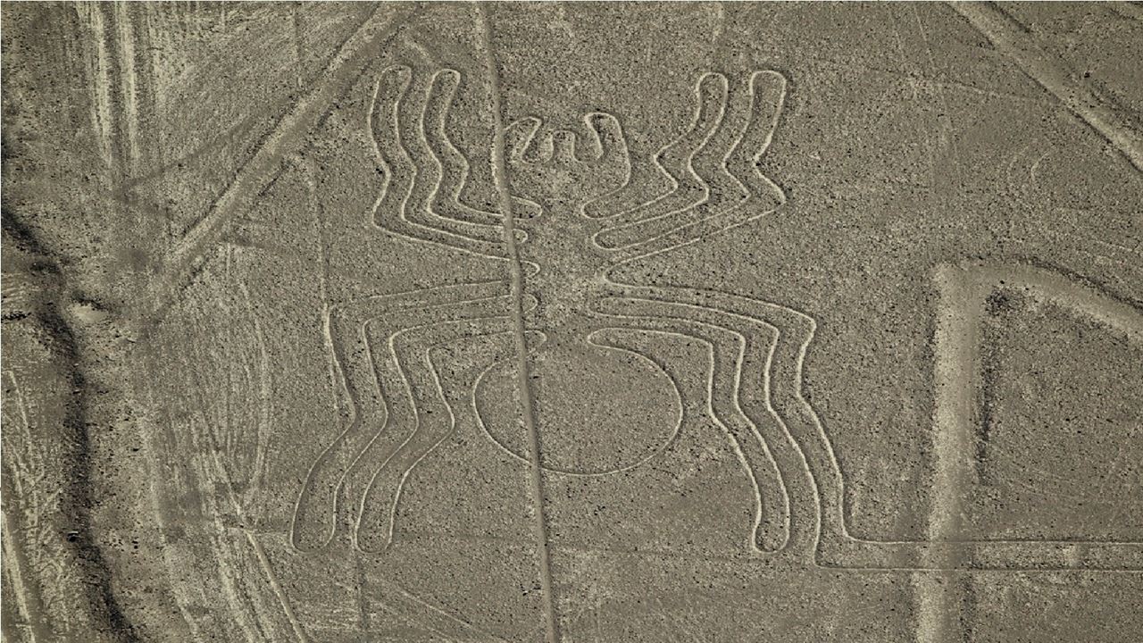 Líneas De Nazca & Islas Ballestas foto 7