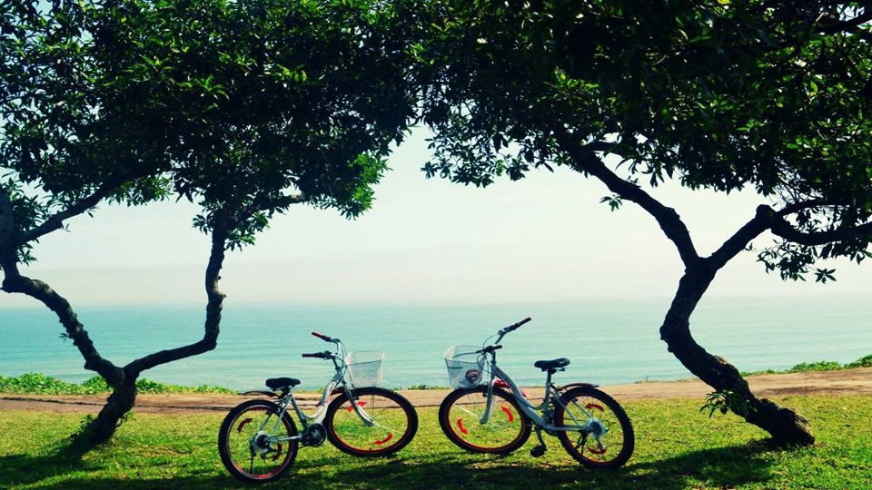 Aula de Surf em Miraflores e Passeio de Bicicleta foto 13