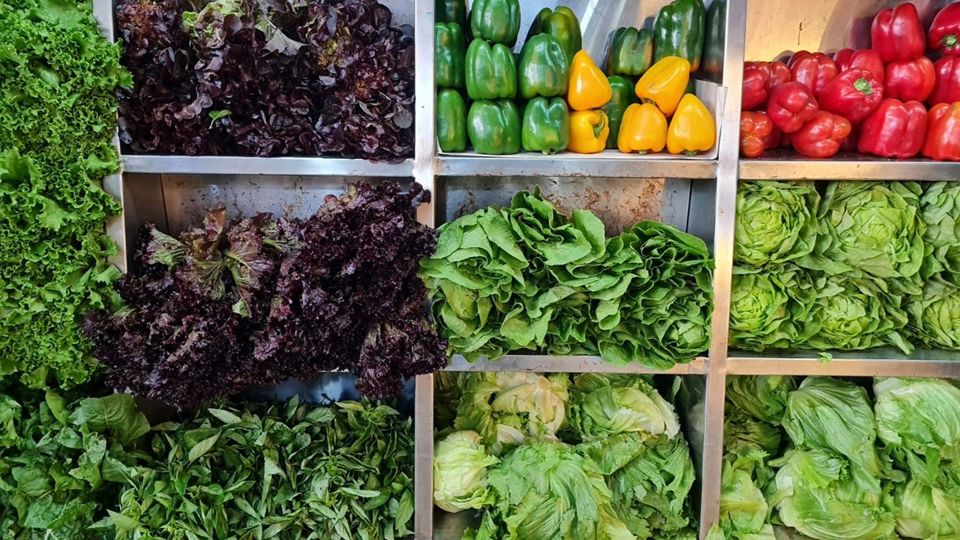 Passeio Gastronômico: Mercado de Surquillo e Culinária de Ceviche foto 8